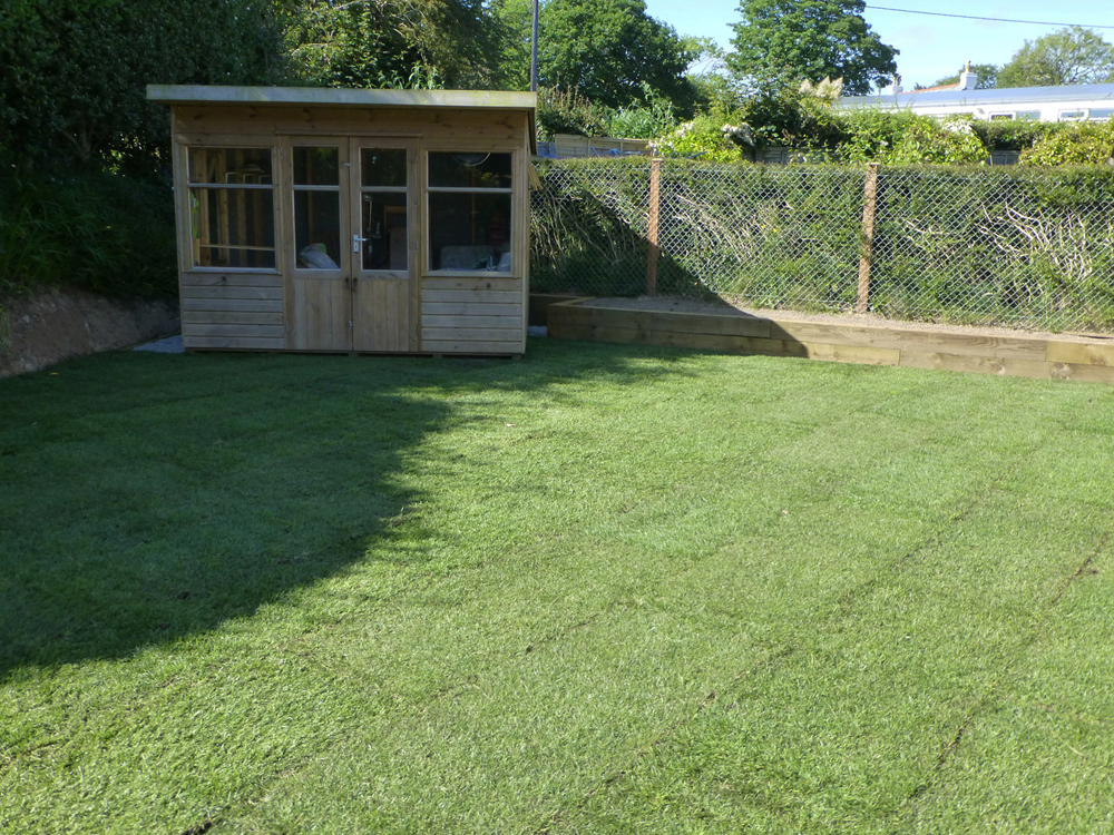 Simon Harris - Trees and Grounds - Grounds